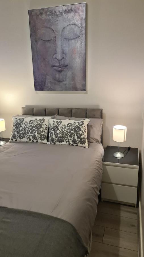 Alexandra Park Apartment 1 بلفاست المظهر الخارجي الصورة